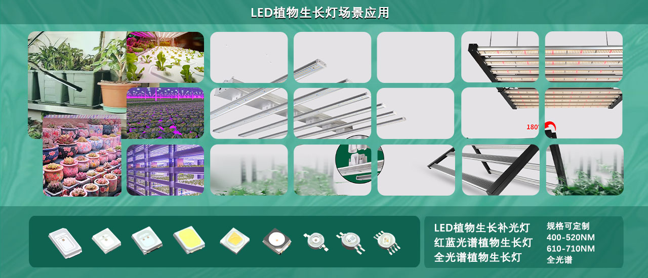 LED植物生长灯珠产品应用.jpg